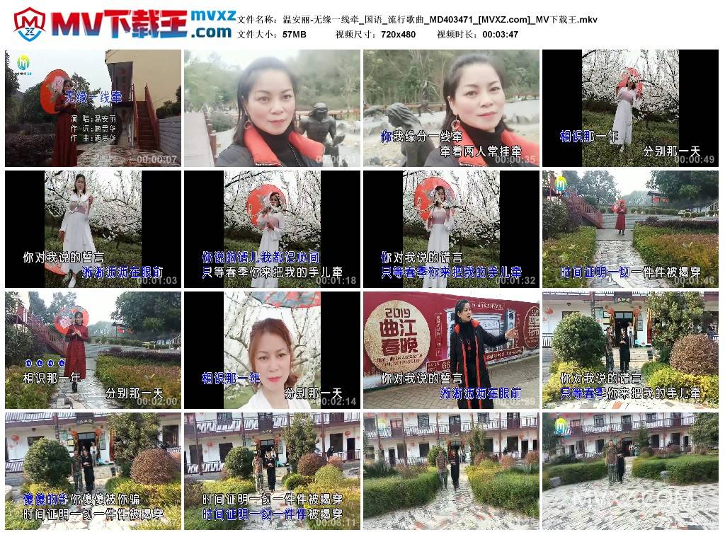 温安丽-无缘一线牵_国语_流行歌曲_MD403471